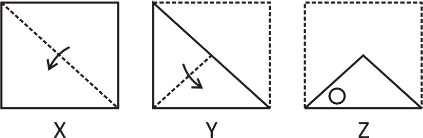 paper-folding-reasoning-questions-examples-and-videos-previous